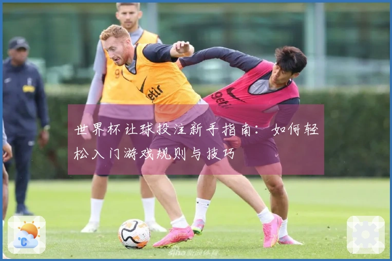世界杯让球投注新手指南：如何轻松入门游戏规则与技巧
