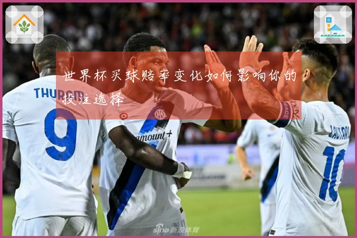 世界杯买球赔率变化如何影响你的投注选择